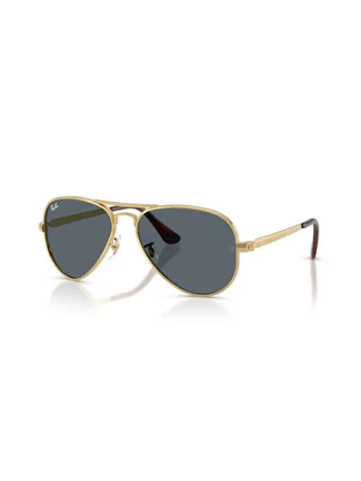 RAYBAN Metal Erkek Güneş Gözlüğü 0RB3925 001/R558 HN