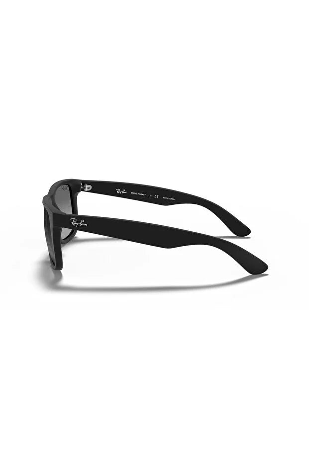 LUXOTTICA RAYBAN NYLON ERKEK GÜNEŞ 0RB4165 622/T355 HN
