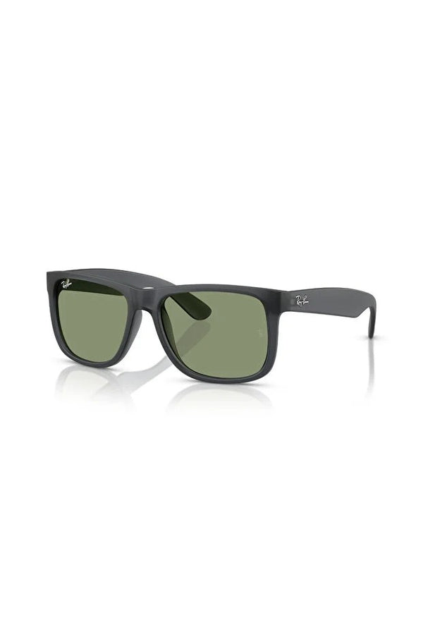 RAYBAN NYLON ERKEK GÜNEŞ 0RB4165 68738254 HN