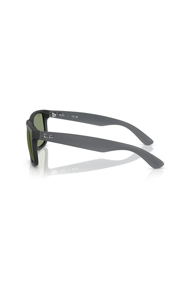 LUXOTTICA RAYBAN NYLON ERKEK GÜNEŞ 0RB4165 68738254 HN