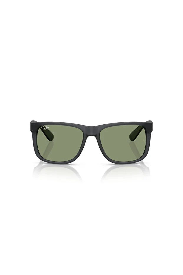 LUXOTTICA RAYBAN NYLON ERKEK GÜNEŞ 0RB4165 68738254 HN