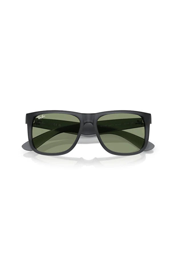 LUXOTTICA RAYBAN NYLON ERKEK GÜNEŞ 0RB4165 68738254 HN