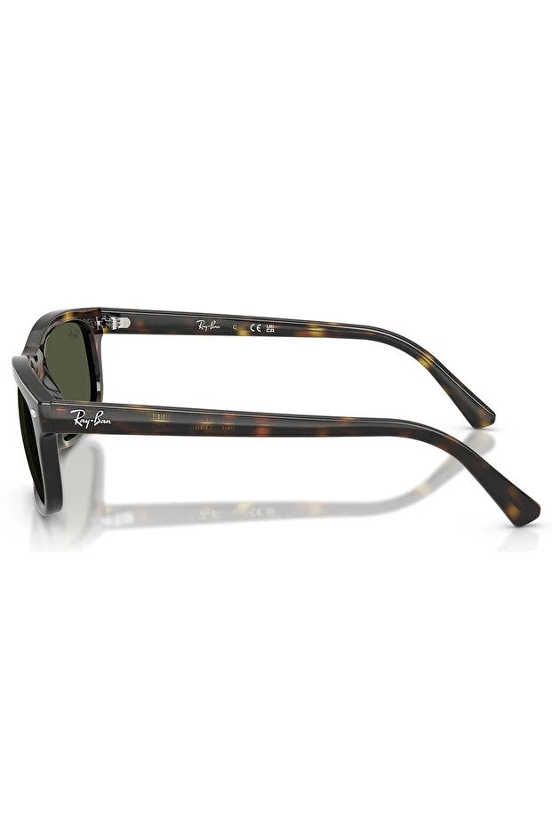 LUXOTTICA RAYBAN PROPİONAT UNISEX GÜNEŞ 0RB2224 710/3157 HN