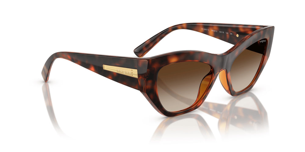 LUXOTTICA VOGUE  ENJEKSİYON Kadın Güneş Gözlüğü 0VO5607S W6561353 HN