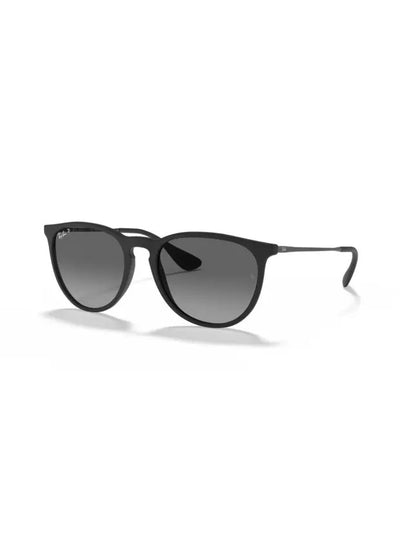 RAYBAN Nylon Unısex Güneş Gözlüğü 0RB4171 622/T354 HN