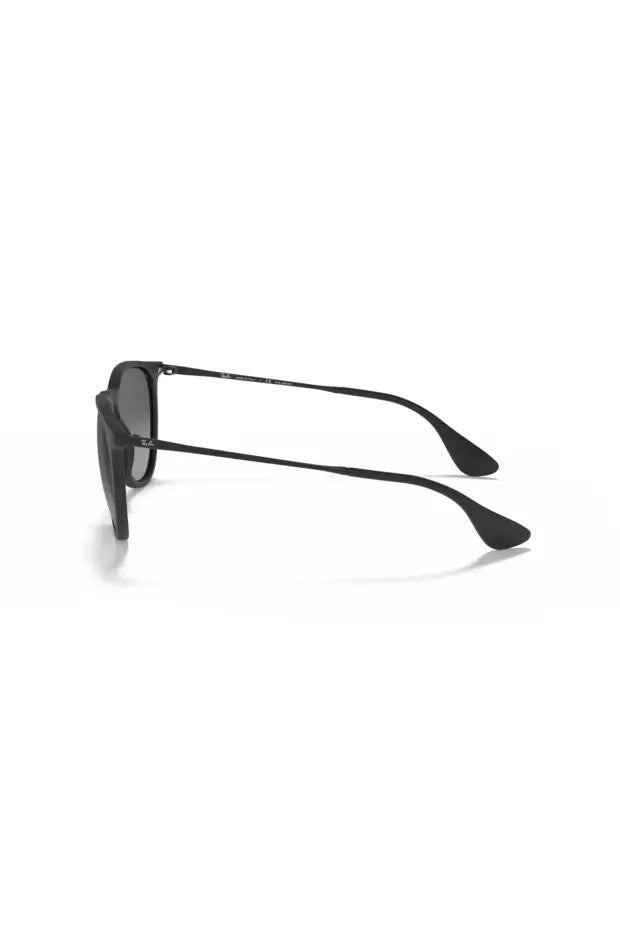 RAYBAN Nylon Unısex Güneş Gözlüğü 0RB4171 622/T354 HN