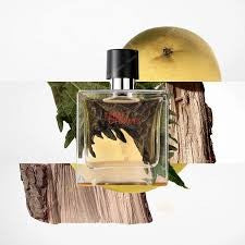 Terre D'Hermes 100 ml Edt