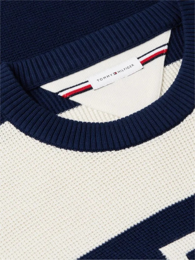 TOMMY HILFIGER İntarsia Logolu Waffle Örgü Rahat Kazak MW0MW447710BB